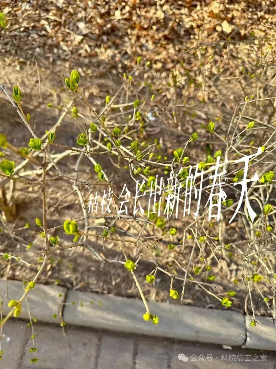 微信图片_2026-04-10_211221_403