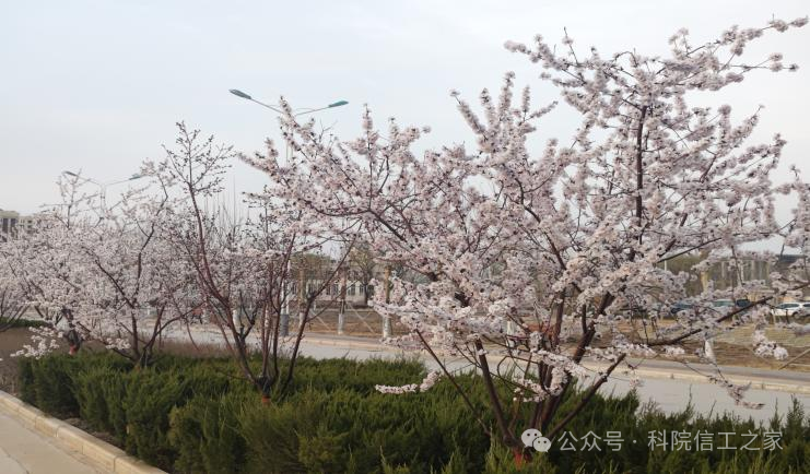 微信图片_2026-04-10_215413_569 微信图片_2026-04-10_215413_569