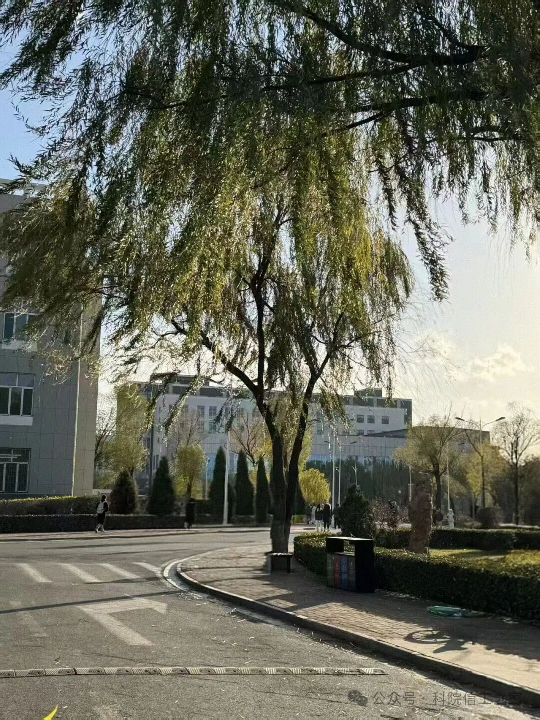 微信图片_2026-04-12_221616_077