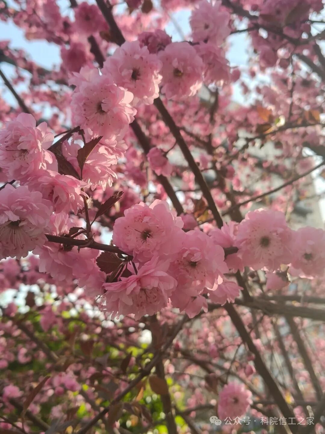 微信图片_2026-04-12_221632_570