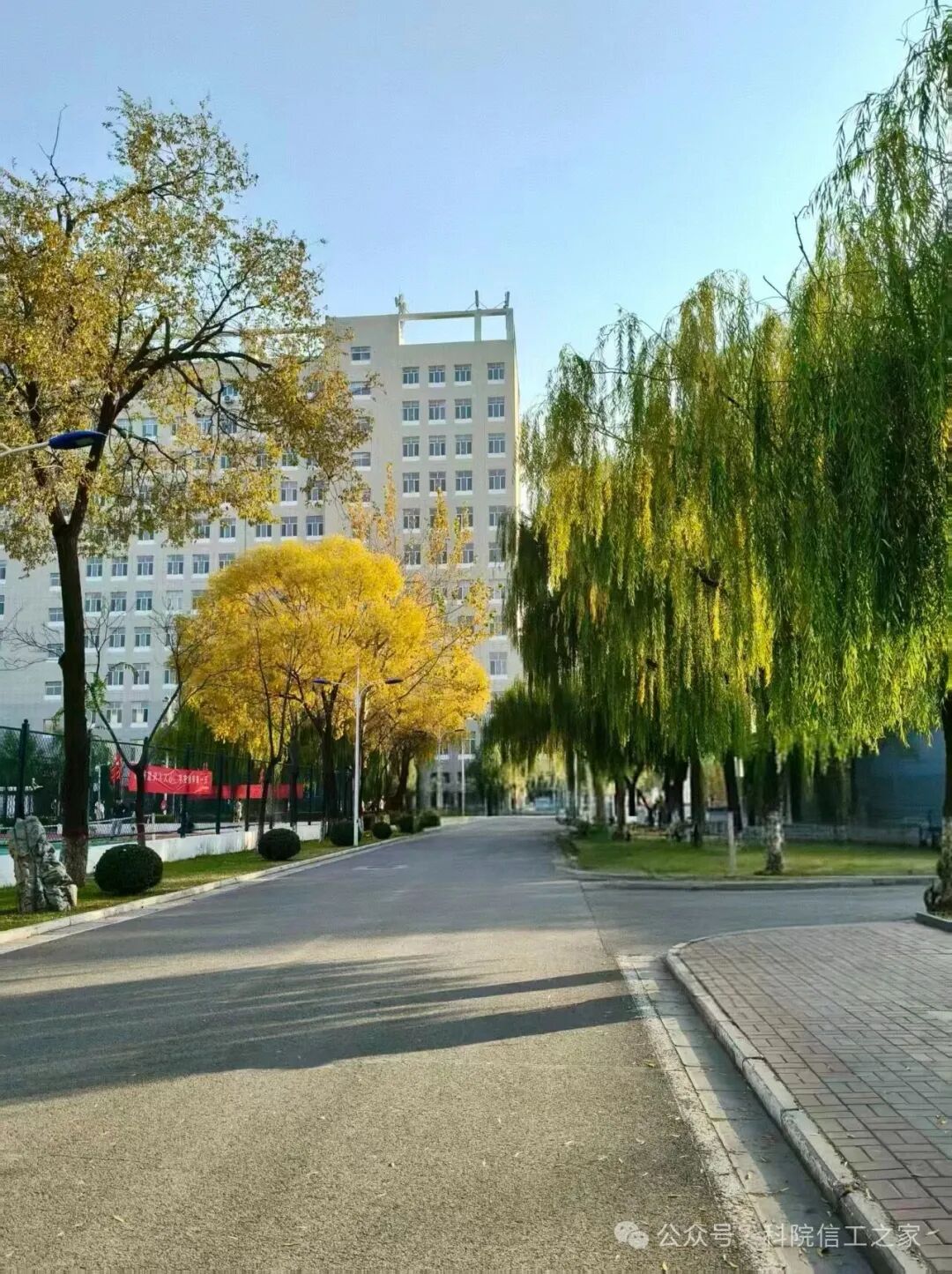 微信图片_2026-04-12_221637_339