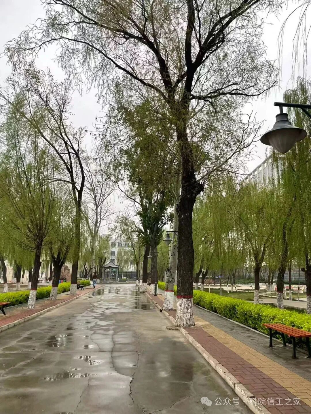 微信图片_2026-04-12_221658_139