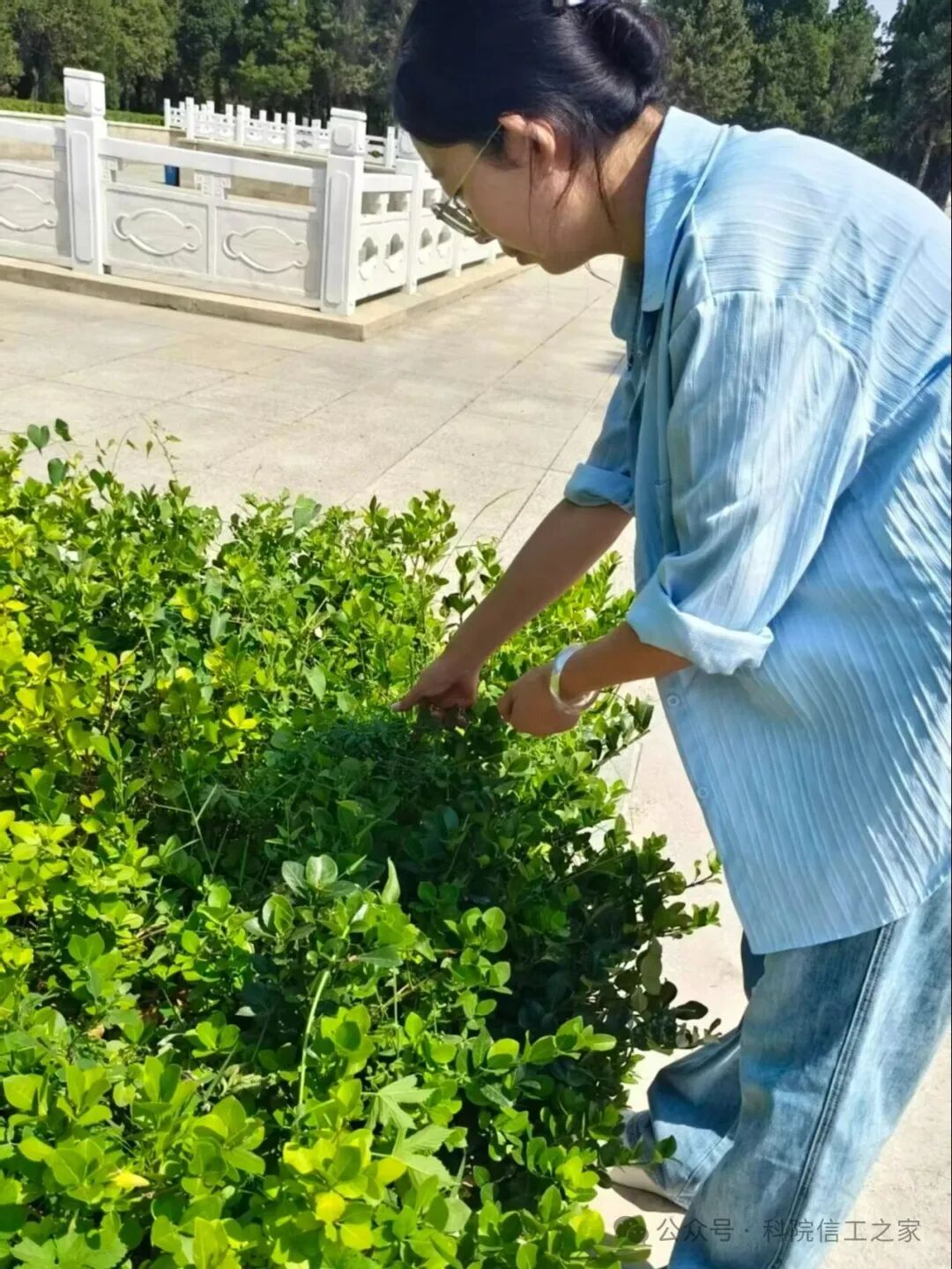 微信图片_2026-07-20_205326_573