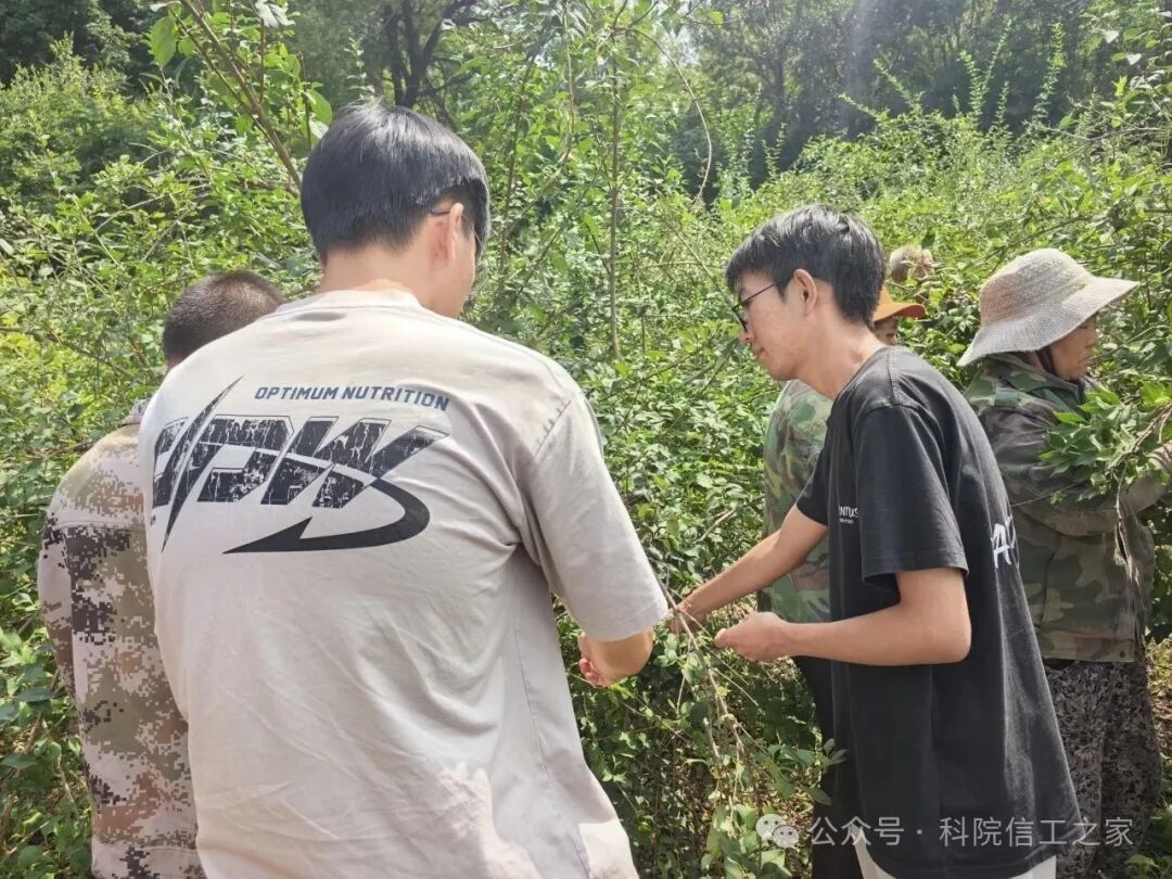 微信图片_2026-08-23_114839_035 微信图片_2026-08-23_114839_035
