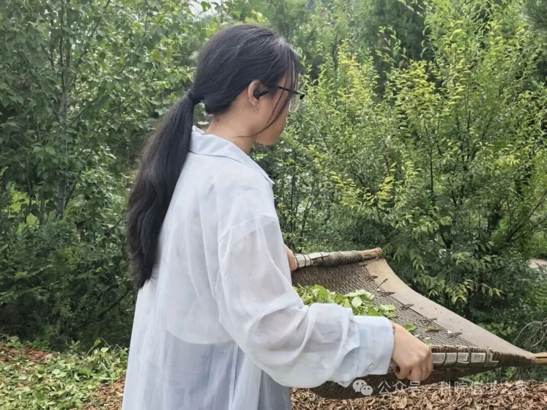 微信图片_2026-08-23_114842_857 微信图片_2026-08-23_114842_857